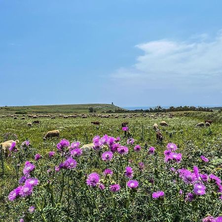 Casetta Degli Ulivi Uggiano La Chiesa Bagian luar foto