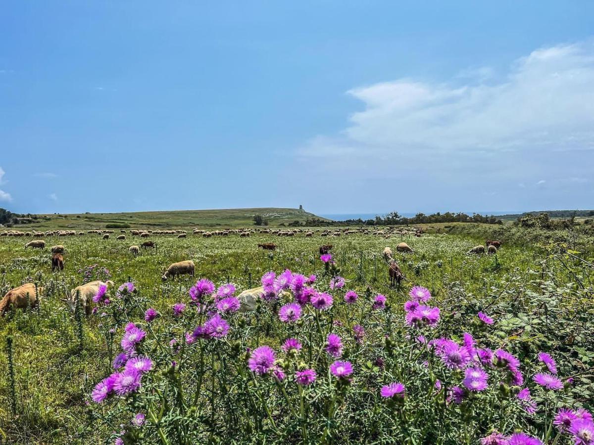 Casetta Degli Ulivi Uggiano La Chiesa Bagian luar foto